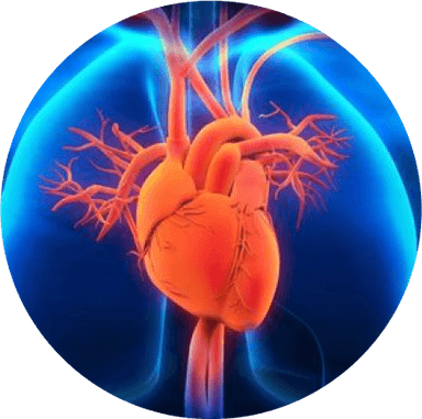 Chuyên khoa Tim mạch