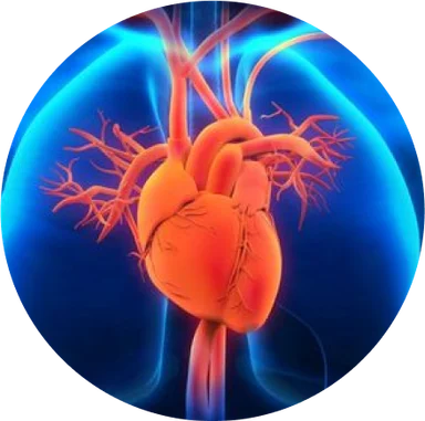 Chuyên khoa Tim mạch