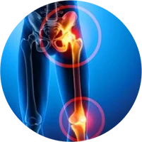 Chuyên khoa Cơ xương khớp