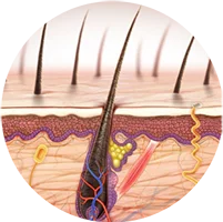 Chuyên khoa da liễu