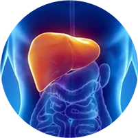 Chuyên khoa Gan mật