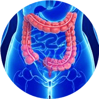 Chuyên khoa Hậu môn – trực tràng