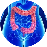 Chuyên khoa Hậu môn – trực tràng