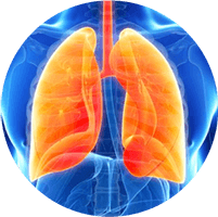 Chuyên khoa Hô hấp