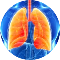 Chuyên khoa Hô hấp