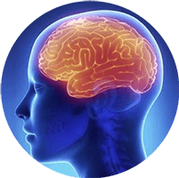 Chuyên khoa Nội thần kinh