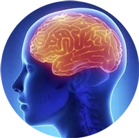 Chuyên khoa Nội thần kinh