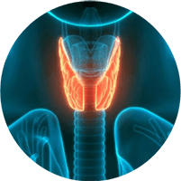 Chuyên khoa Nội tiết