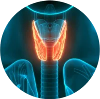 Chuyên khoa Nội tiết