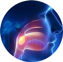 Chuyên khoa Tai mũi họng