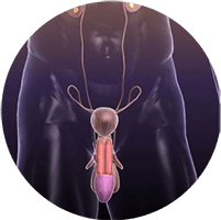 Chuyên khoa Tiết niệu – Nam học