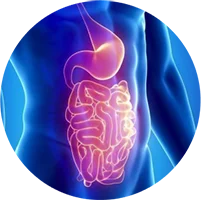 Chuyên khoa Tiêu hóa
