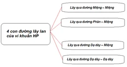 Vi khuẩn HP lây qua đường nào?