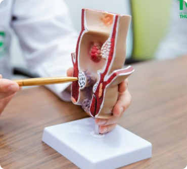 Ứng dụng đa dạng Linh Hoạt